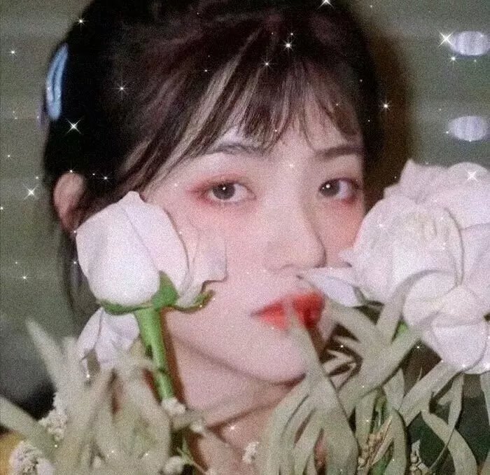 致命档案